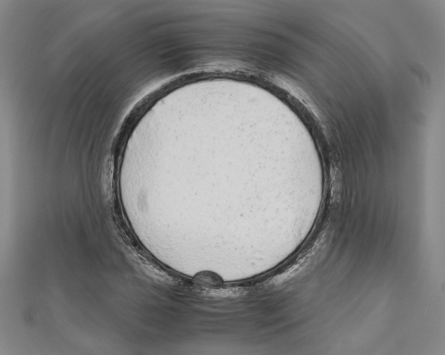 X0000110951021200907171624