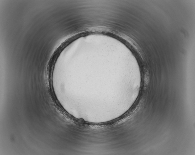 X0000110951022200907171624