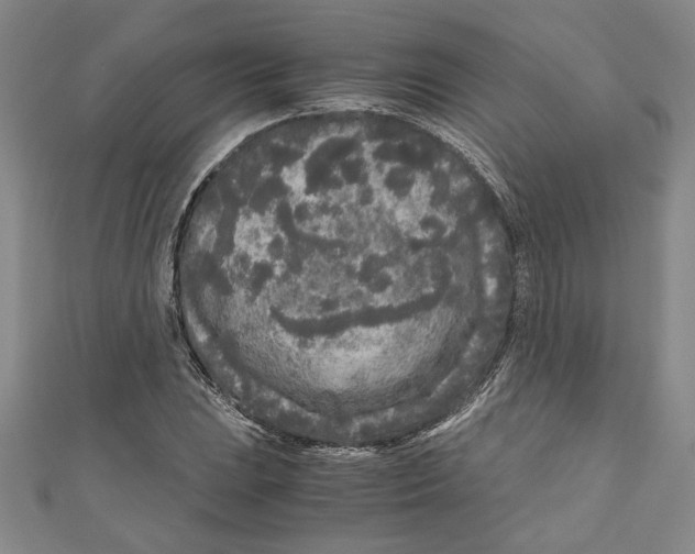 X0000110951023200907171624