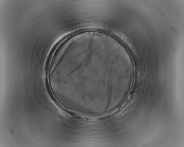 X0000110951024200907171624