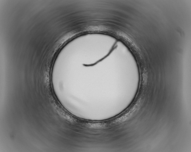 X0000110951025200907171624