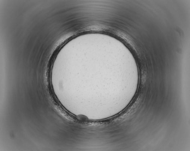 X0000110951026200907171624