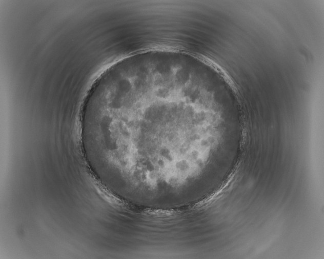 X0000110951027200907171624