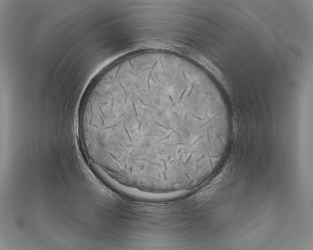 X0000110951028200907171624