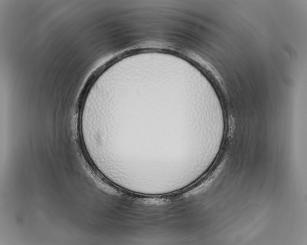 X0000110951029200907171624