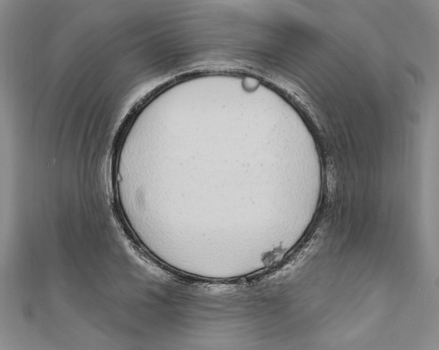 X0000110951030200907171624