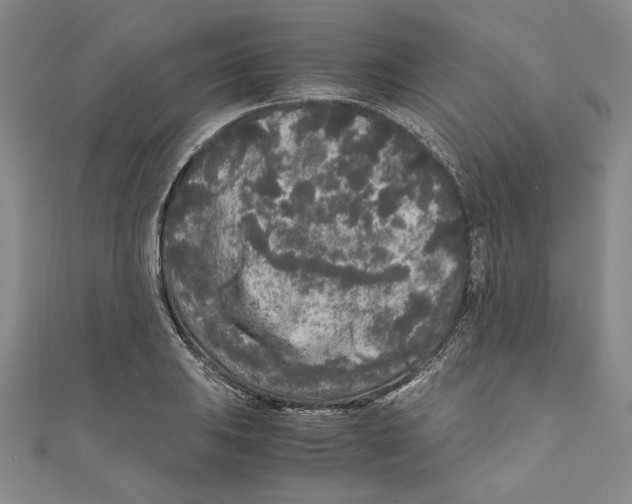 X0000110951031200907171624
