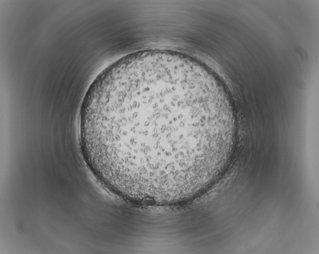 X0000110951032200907171624