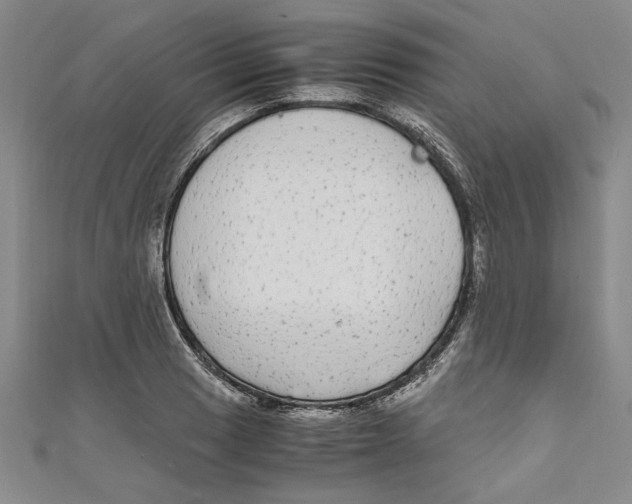 X0000110951033200907171624