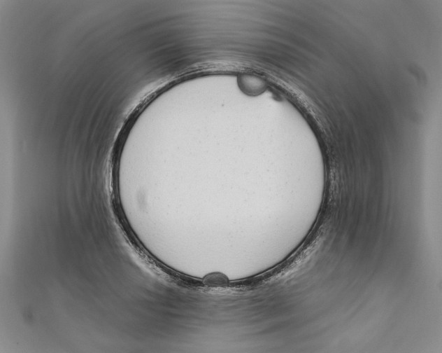 X0000110951034200907171624