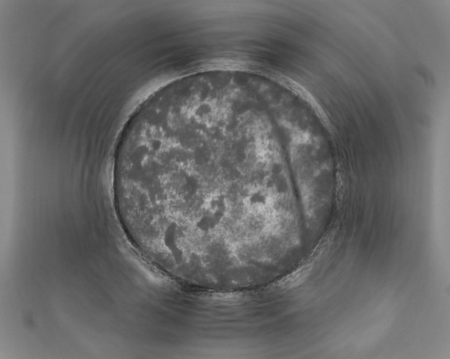X0000110951035200907171624