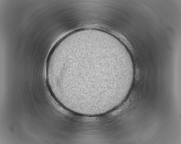 X0000110951036200907171624
