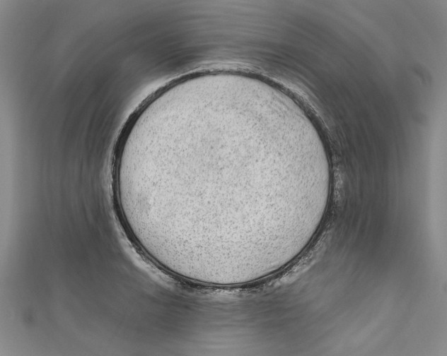 X0000110951038200907171624