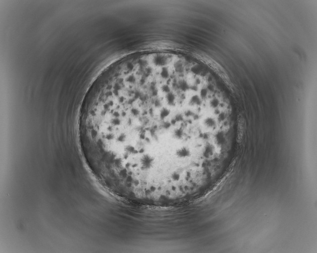 X0000110951039200907171624