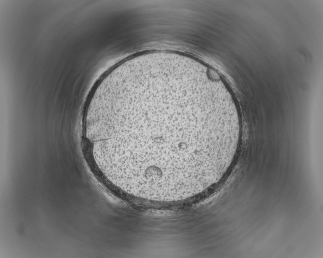 X0000110951040200907171624