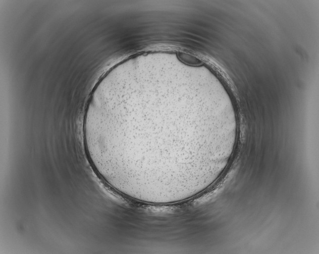 X0000110951041200907171624