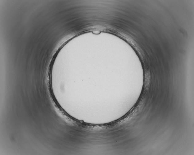 X0000110951042200907171624