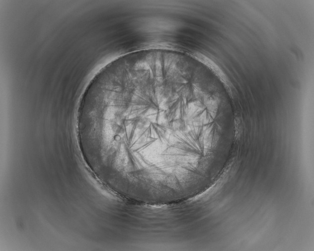 X0000110951043200907171624