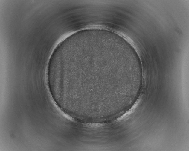 X0000110951045200907171624