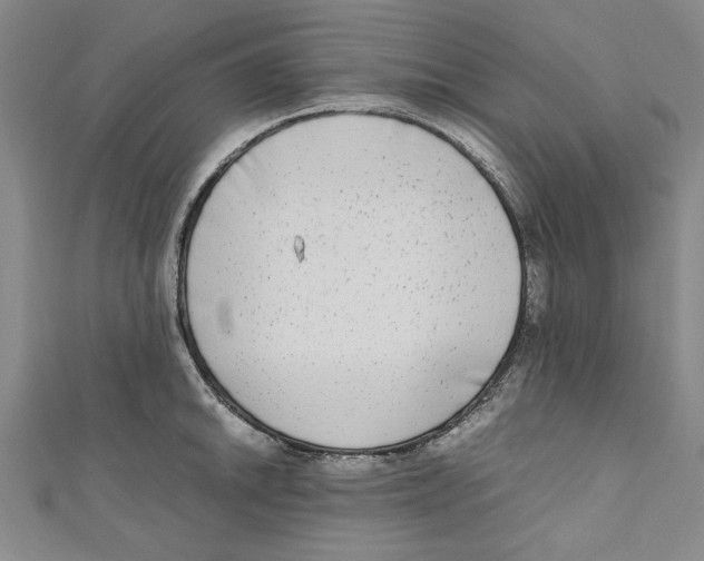 X0000110951046200907171624