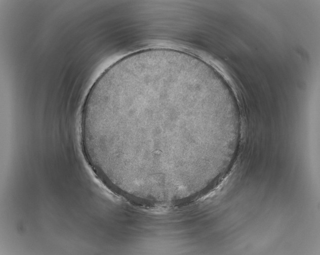 X0000110951048200907171624