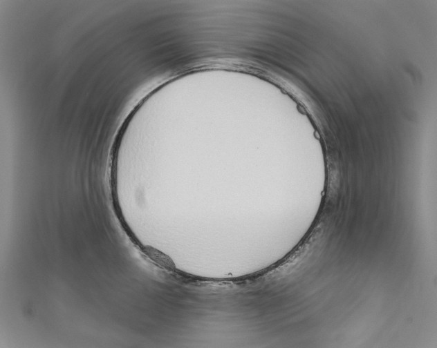 X0000110951050200907171624