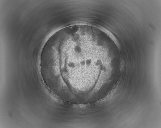 X0000110951051200907171624