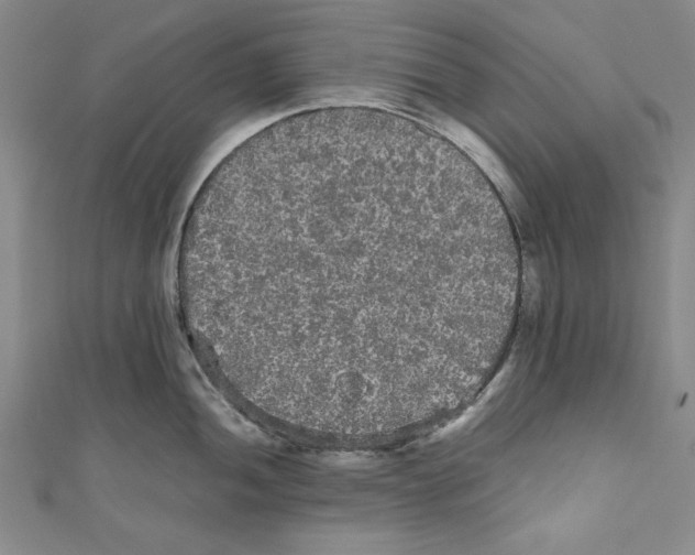 X0000110951052200907171624