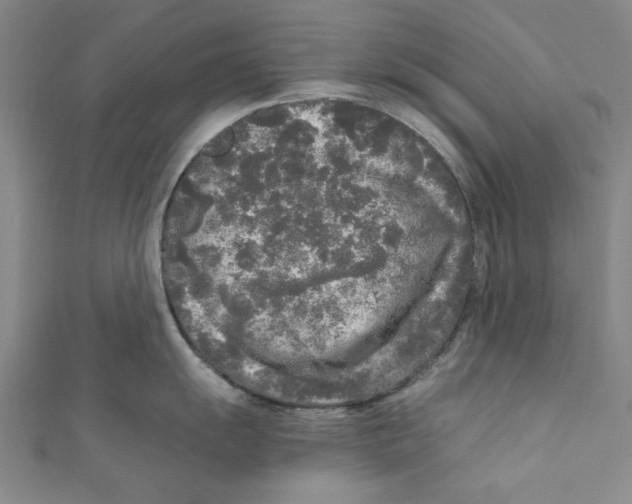 X0000110951055200907171624
