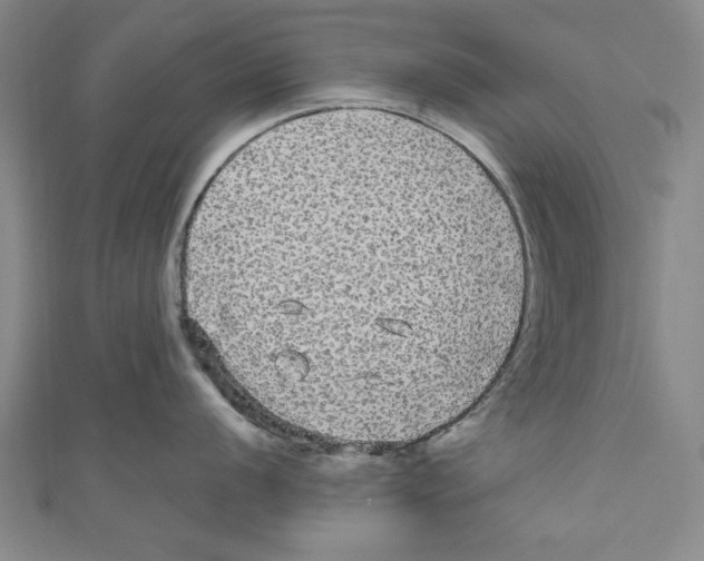 X0000110951056200907171624