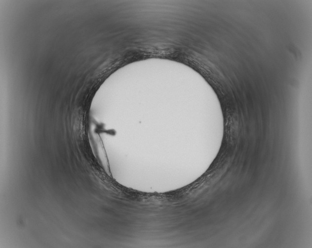 X0000110951058200907171624