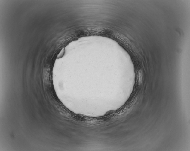 X0000110951059200907171624