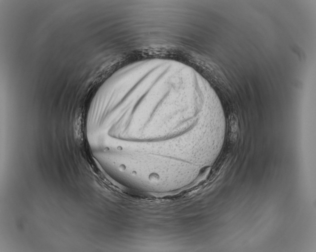 X0000110951060200907171624