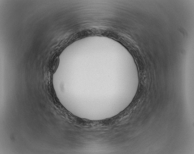 X0000110951061200907171624