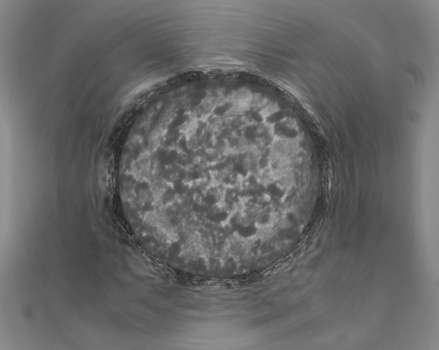 X0000110951063200907171623