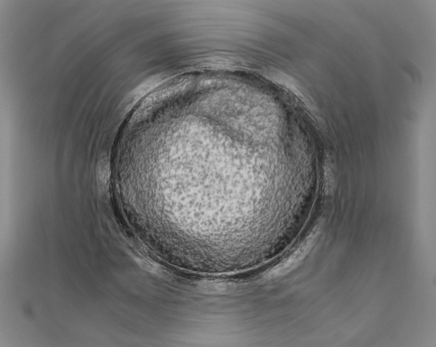 X0000110951065200907171623