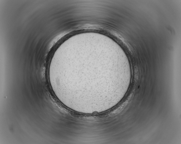 X0000110951066200907171623