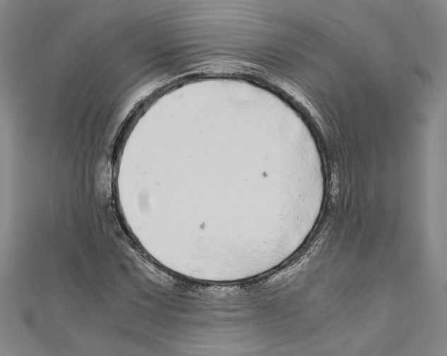 X0000110951067200907171623