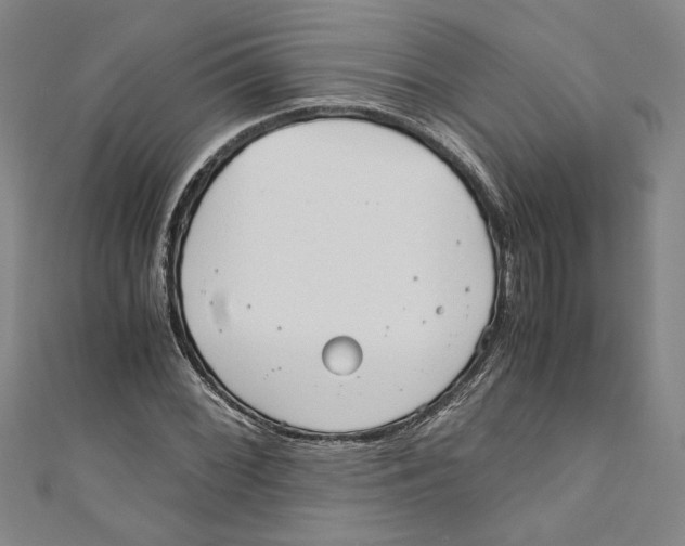 X0000110951068200907171623