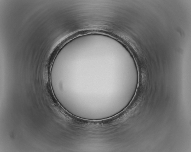 X0000110951069200907171623