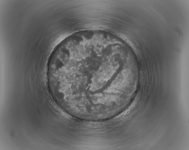 X0000110951071200907171623