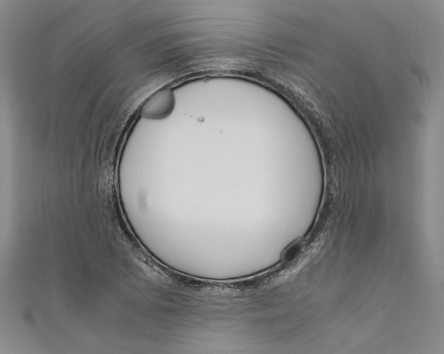 X0000110951073200907171623