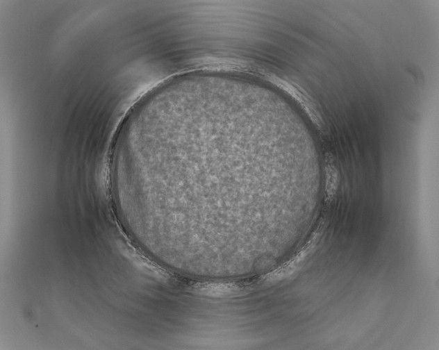 X0000110951074200907171623