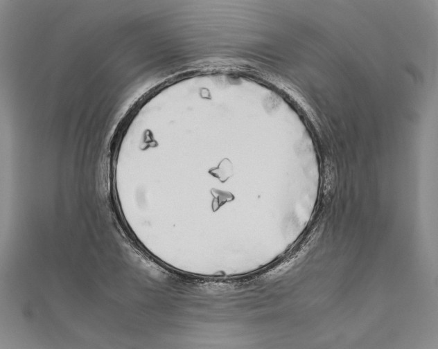 X0000110951075200907171623