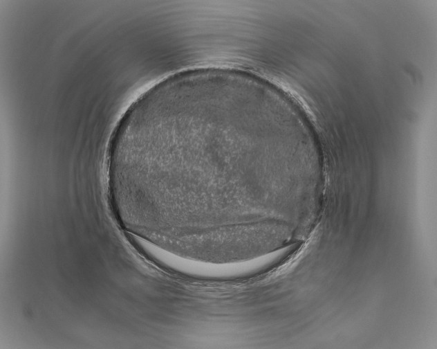 X0000110951077200907171623