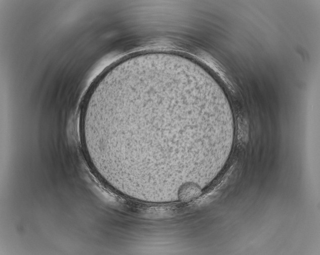 X0000110951078200907171623