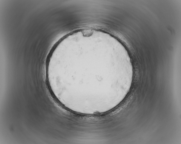X0000110951079200907171623