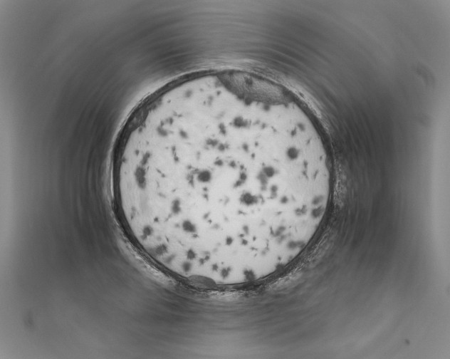 X0000110951080200907171623