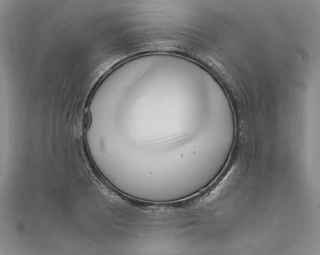 X0000110951081200907171623