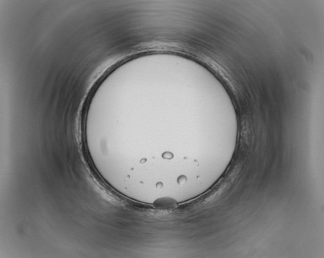 X0000110951082200907171623